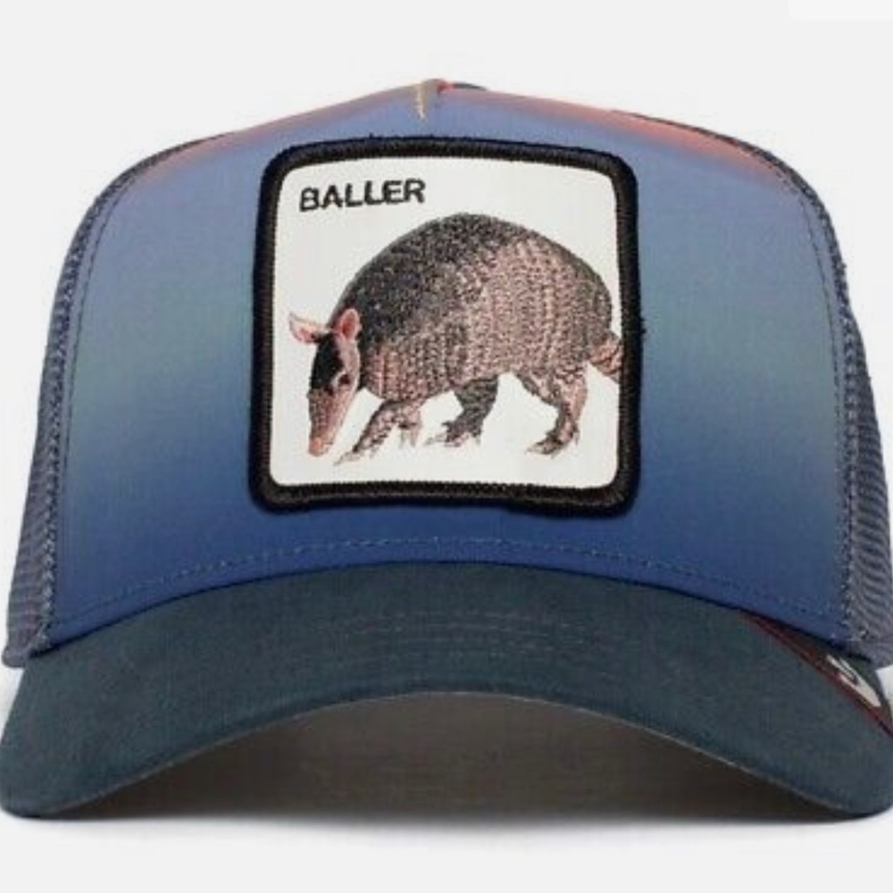 Desert Skies. Goorin Bros. Trucker. New with Tags. Never worn.